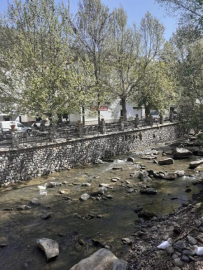 Apartamentos Pinos Genil